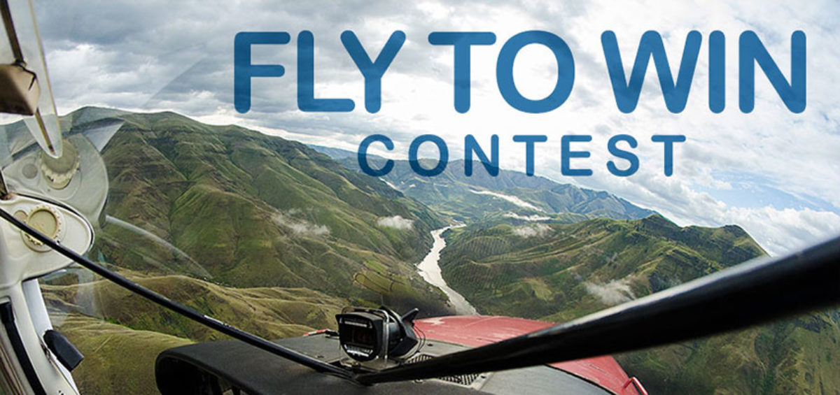 Fly to win contest graphic