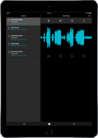 FlightLink iPad library screen