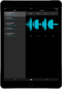 FlightLink iPad library screen