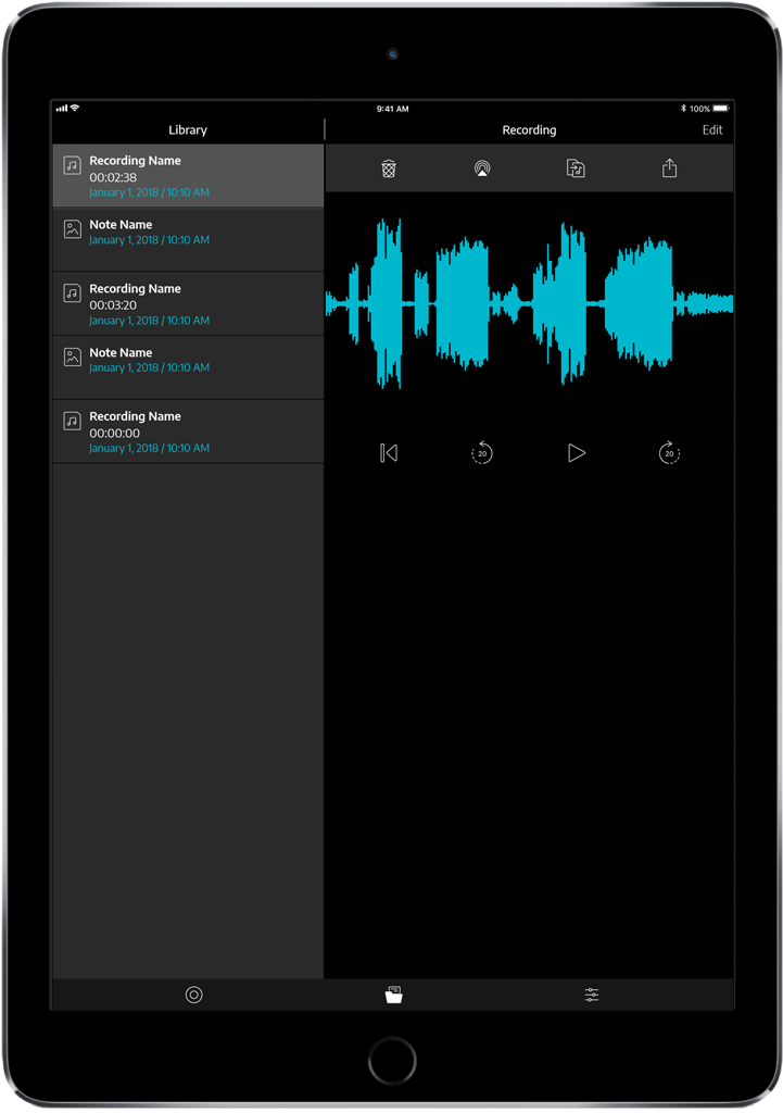 FlightLink iPad library screen