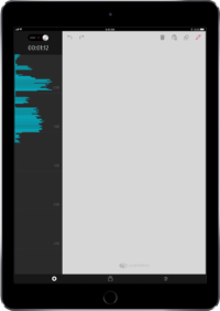 FlightLink iPad recording screen