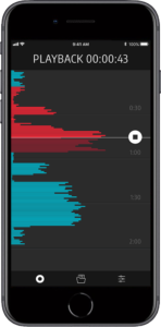 FlightLink iPhone 8 playback screen