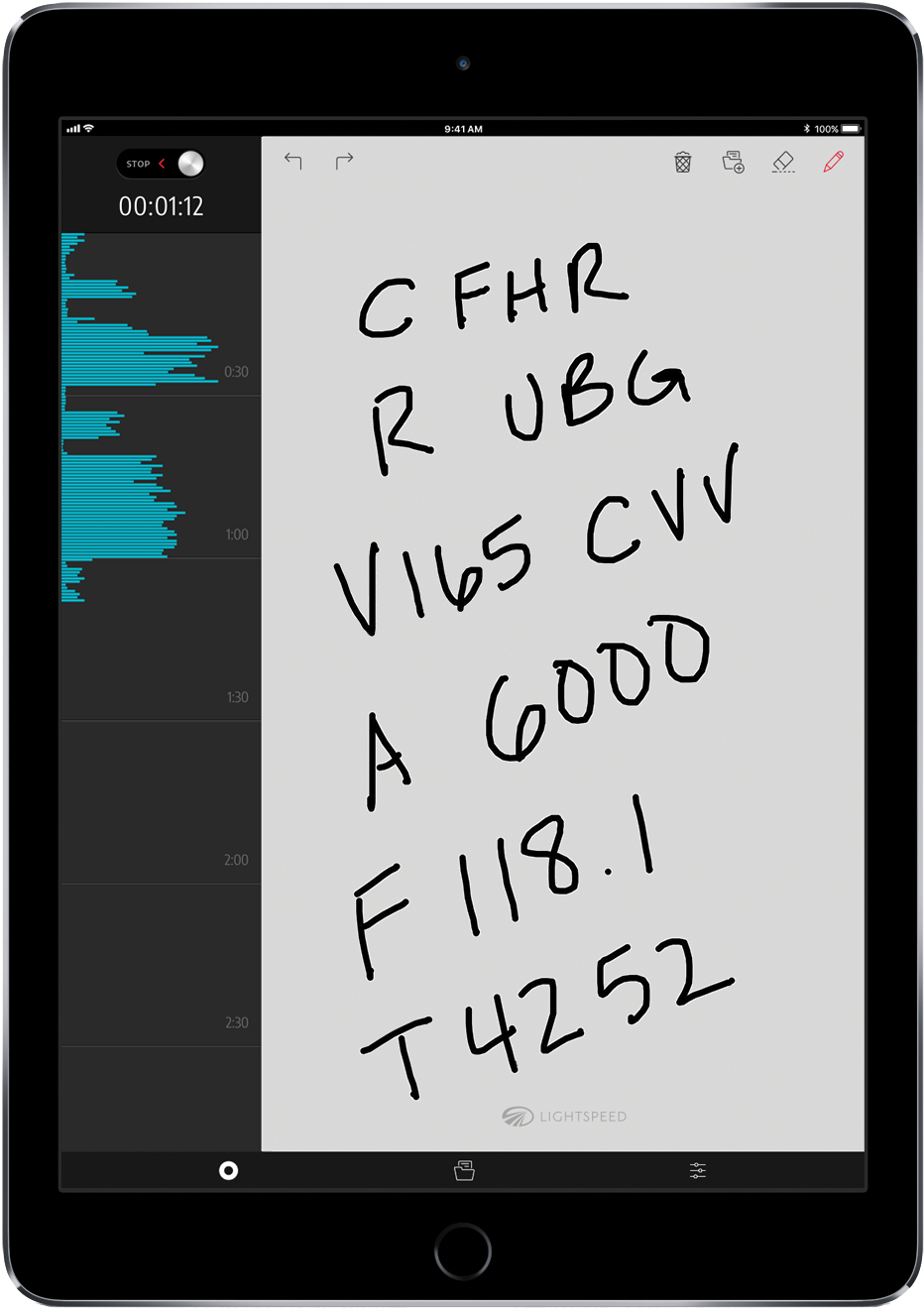 FlightLink iPad record screen with scratchpad drawing
