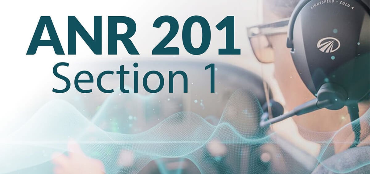 Lightspeed Aviation ANR 201: Section 1