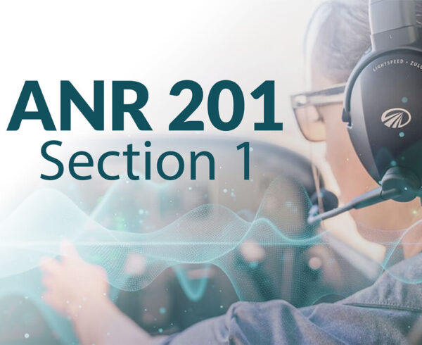 Lightspeed Aviation ANR 201: Section 1