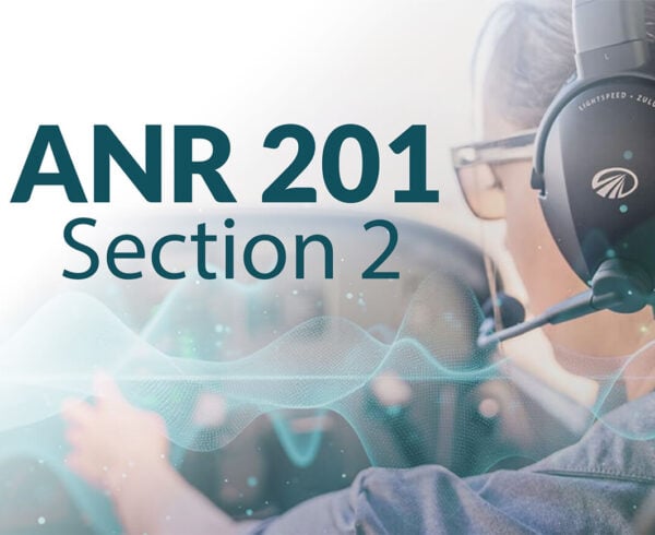 Lightspeed Aviation ANR 201: Section 2