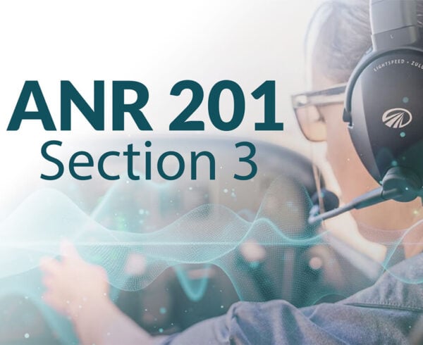 Lightspeed Aviation ANR 201: Section 3